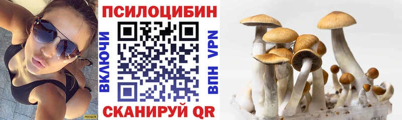 Галлюциногенные грибы ЛСД  MEGA ТОР  Донецк 